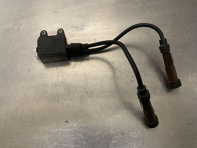 Hovedbilde Triumph Bonneville T100 2006 Coil
