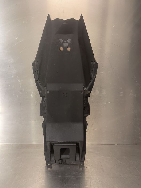Kawasaki Ninja 125 2020 Bakskjerm