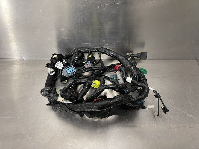 Hovedbilde Suzuki GSX-S 125 2023 Ledningsnett