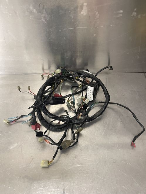 Hovedbilde Kawasaki ER5 2001 Ledningsnett 
